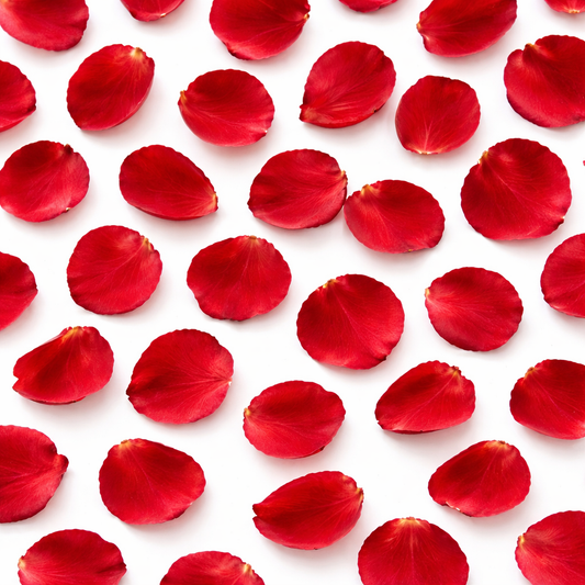 Pétales de Rose Romantiques – Décoration Saint-Valentin